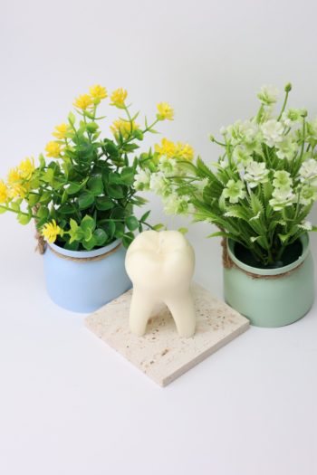 Handgemachte Zahn Kerze – Creme | Moderne Dental Deko & Geschenkidee